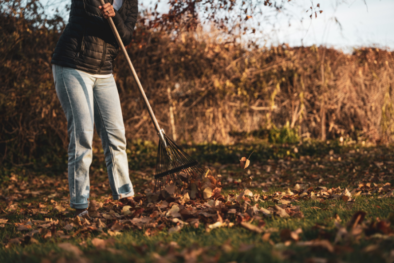 raking back pain, sore back raking