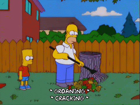 raking back pain, sore back raking